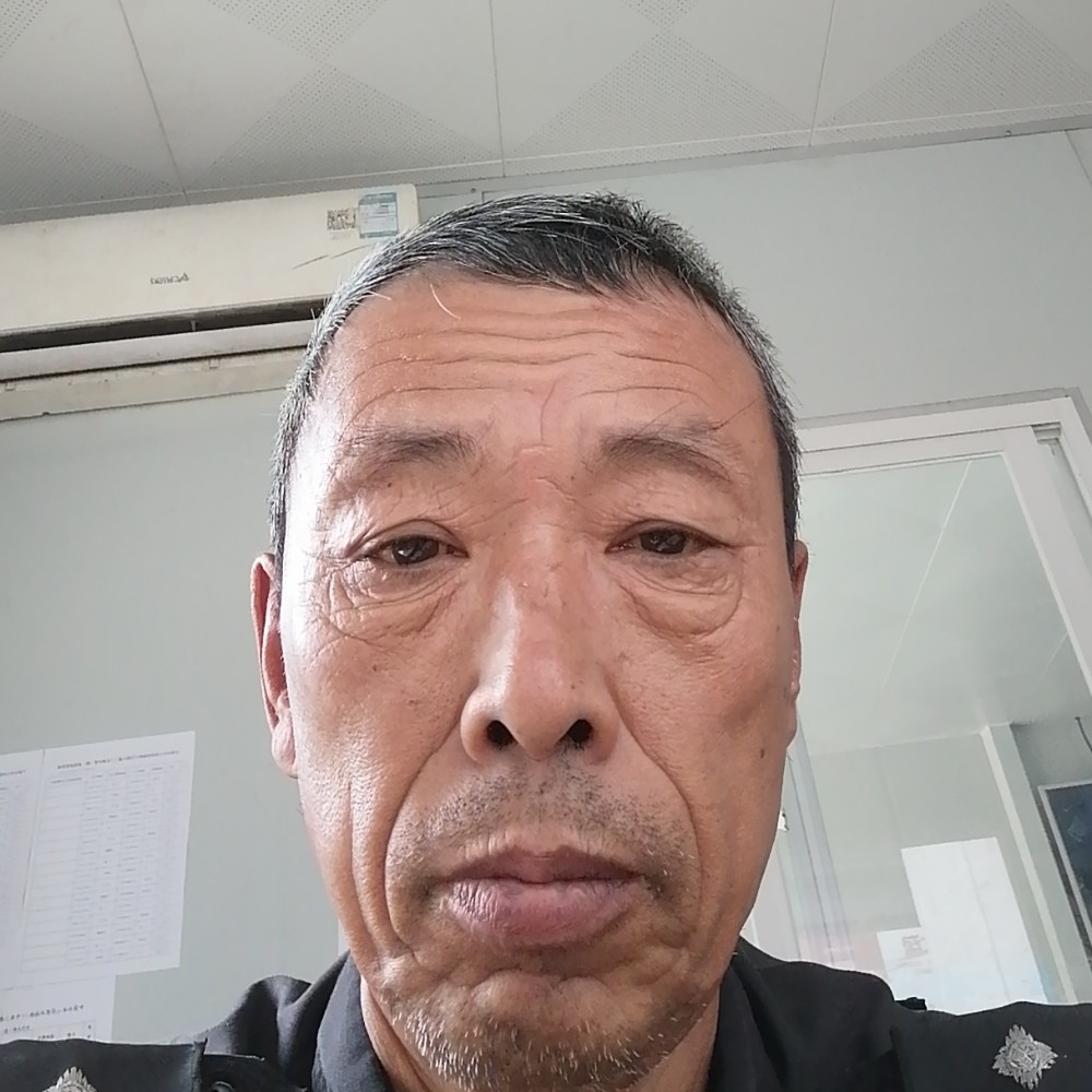 单身回首小海豚的照片
