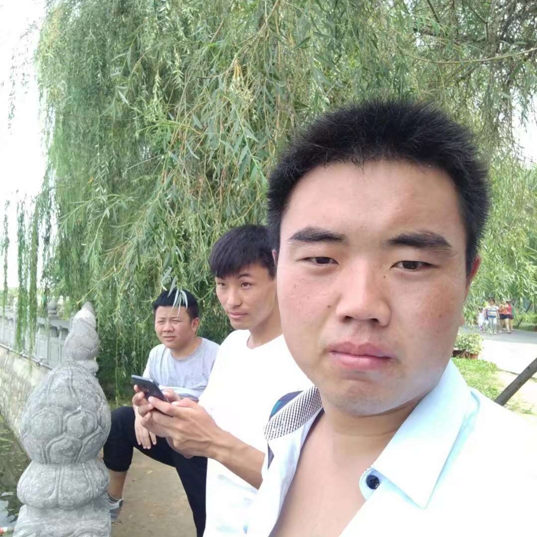 山坡上蒲公英的照片