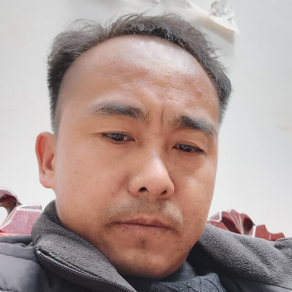 矮小那小海豚的照片