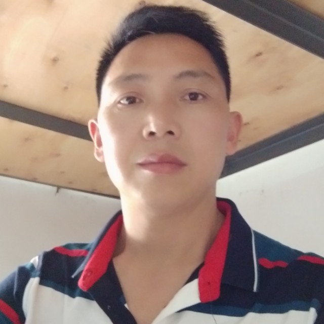 洋葱包容的照片