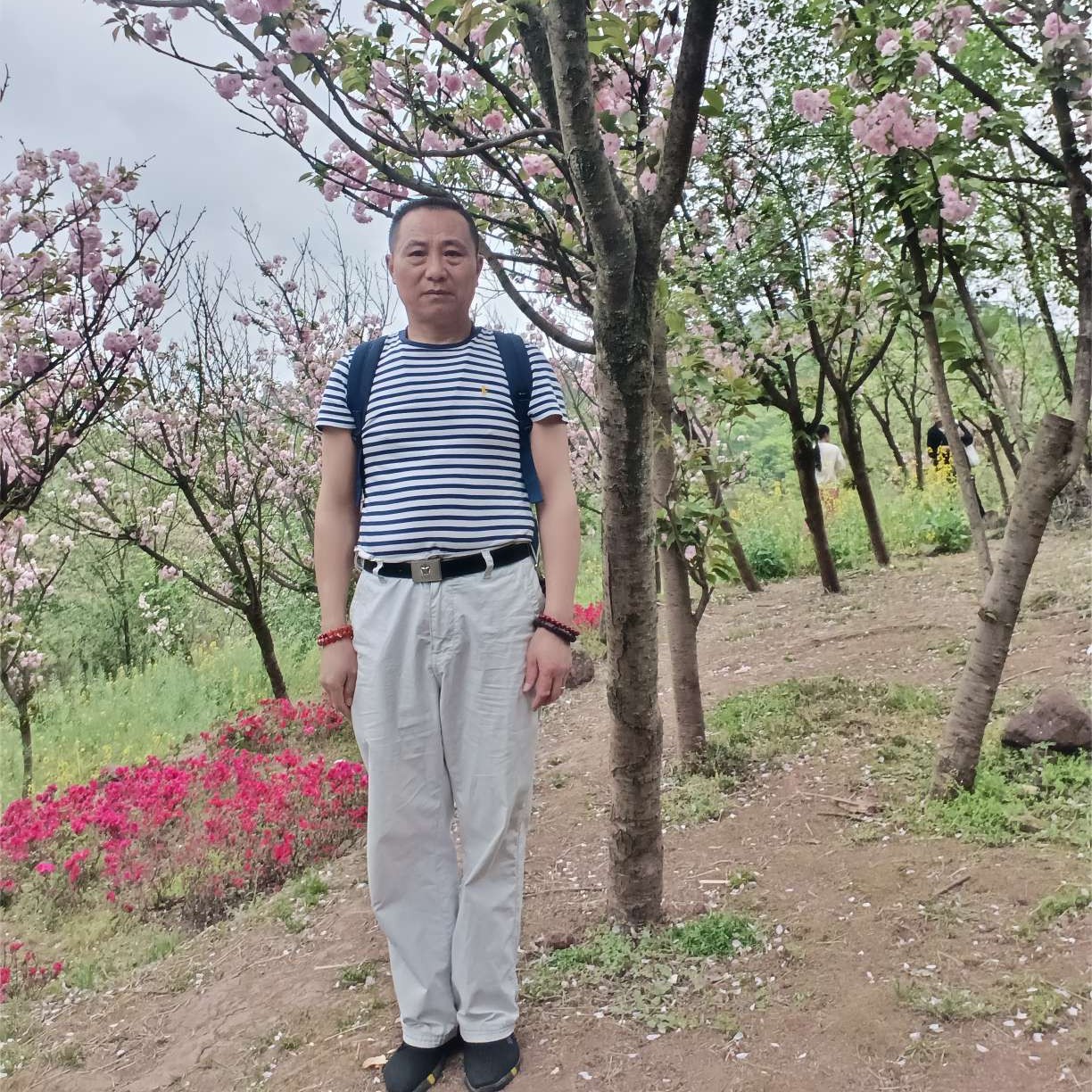 我们的爱恋吐司的照片
