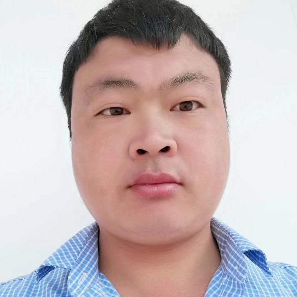 危机的小猫咪的照片