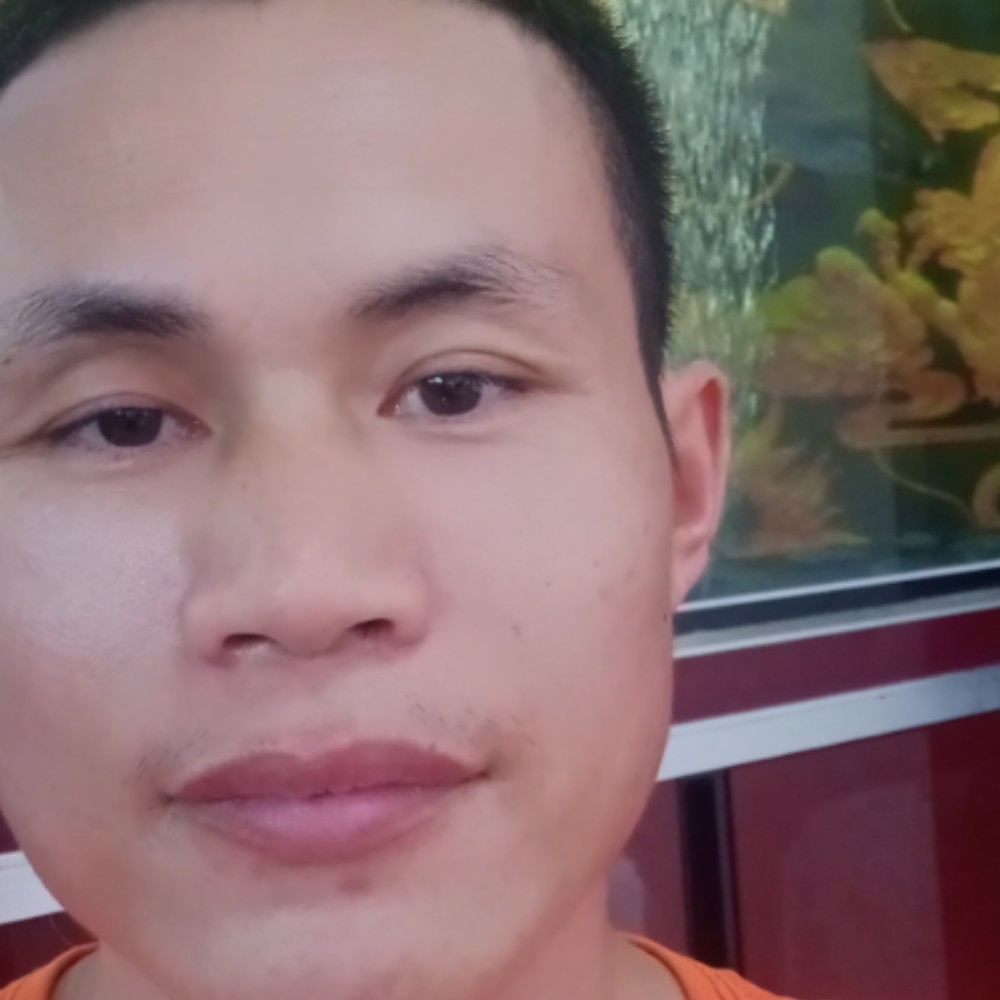 小猫咪笑单的照片