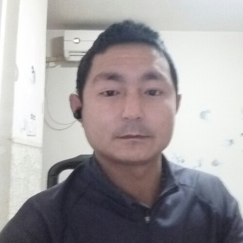 拉动笨死了的照片