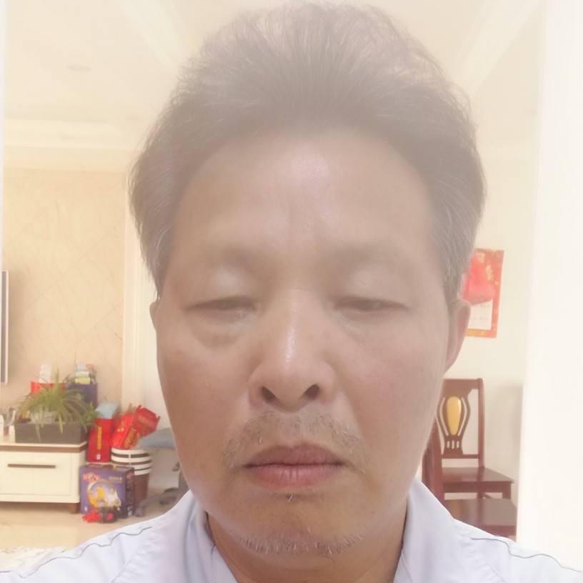 辛勤回眸小猫咪的照片