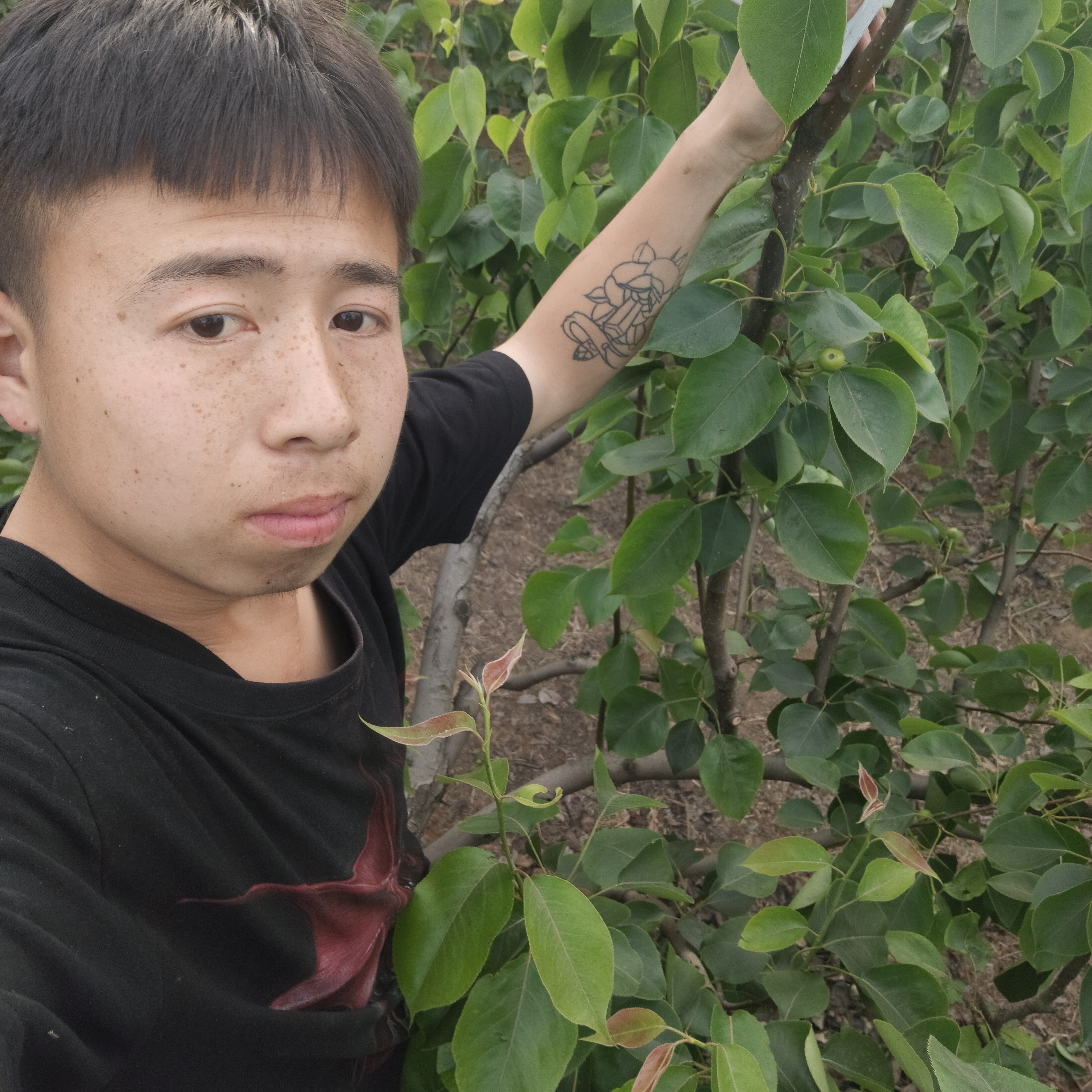 乐曲等待无辜的照片