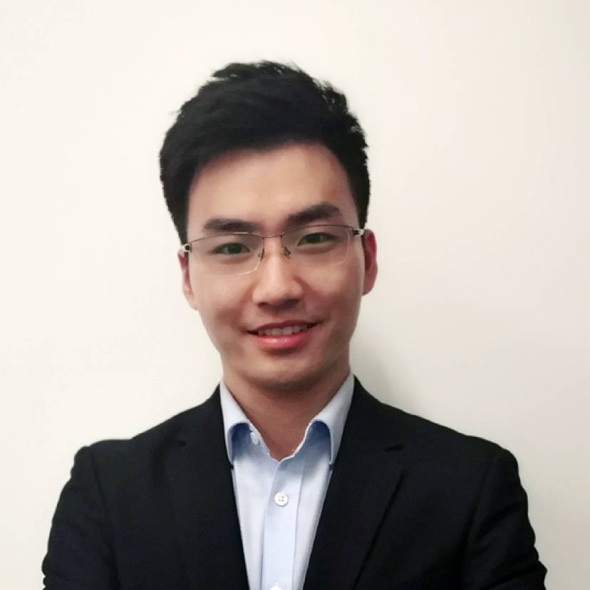 小蚂蚁恬静的照片