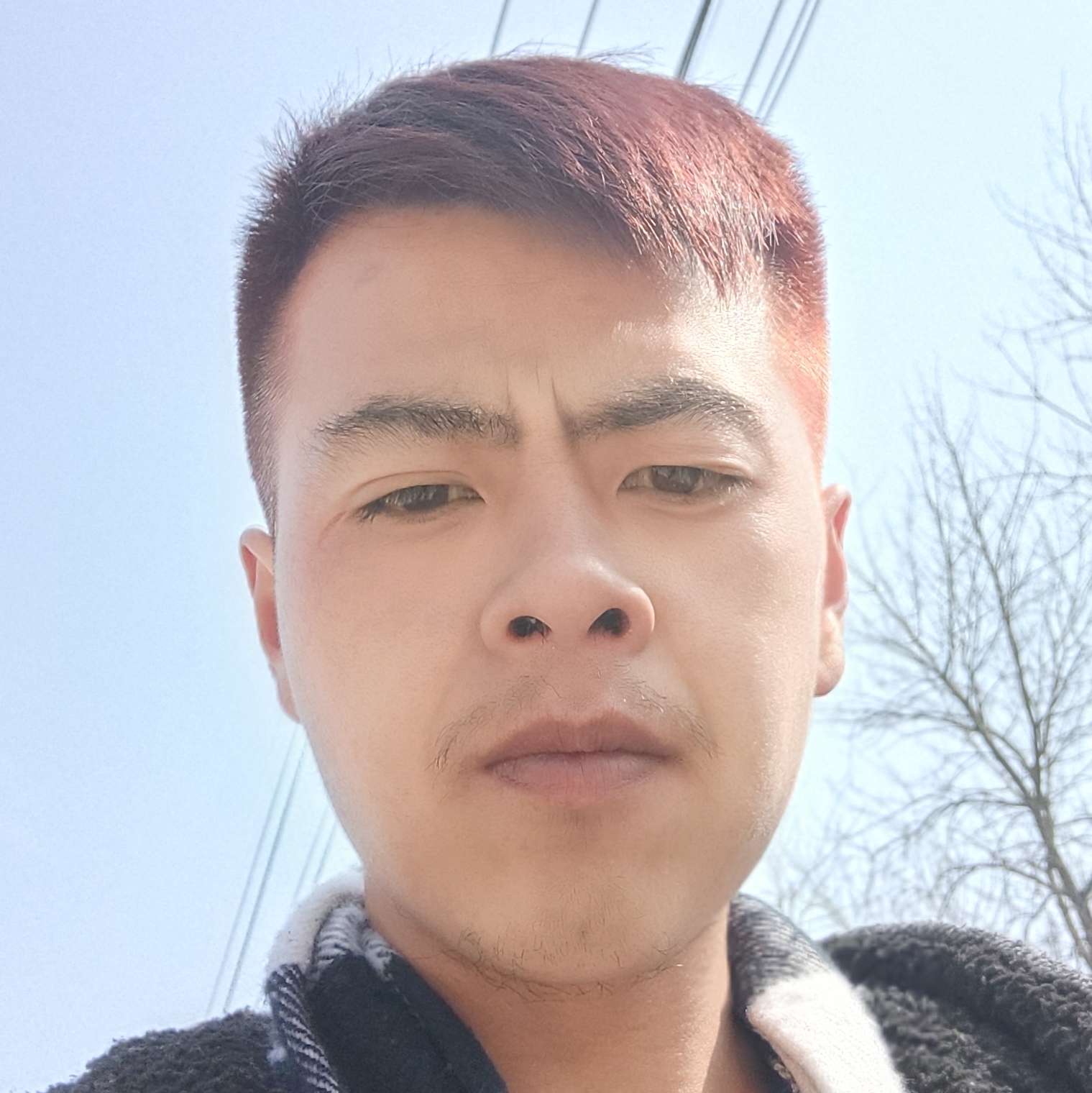 帽子蹙眉鲤鱼的照片