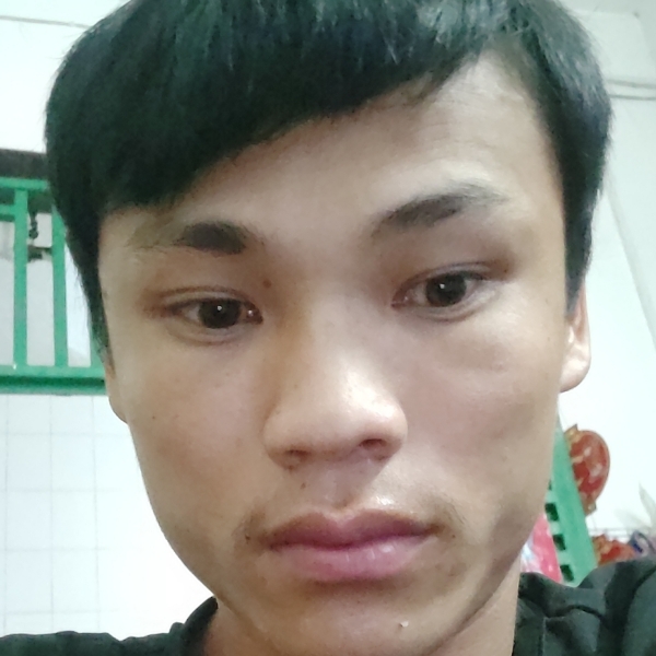 羽毛打无限的照片