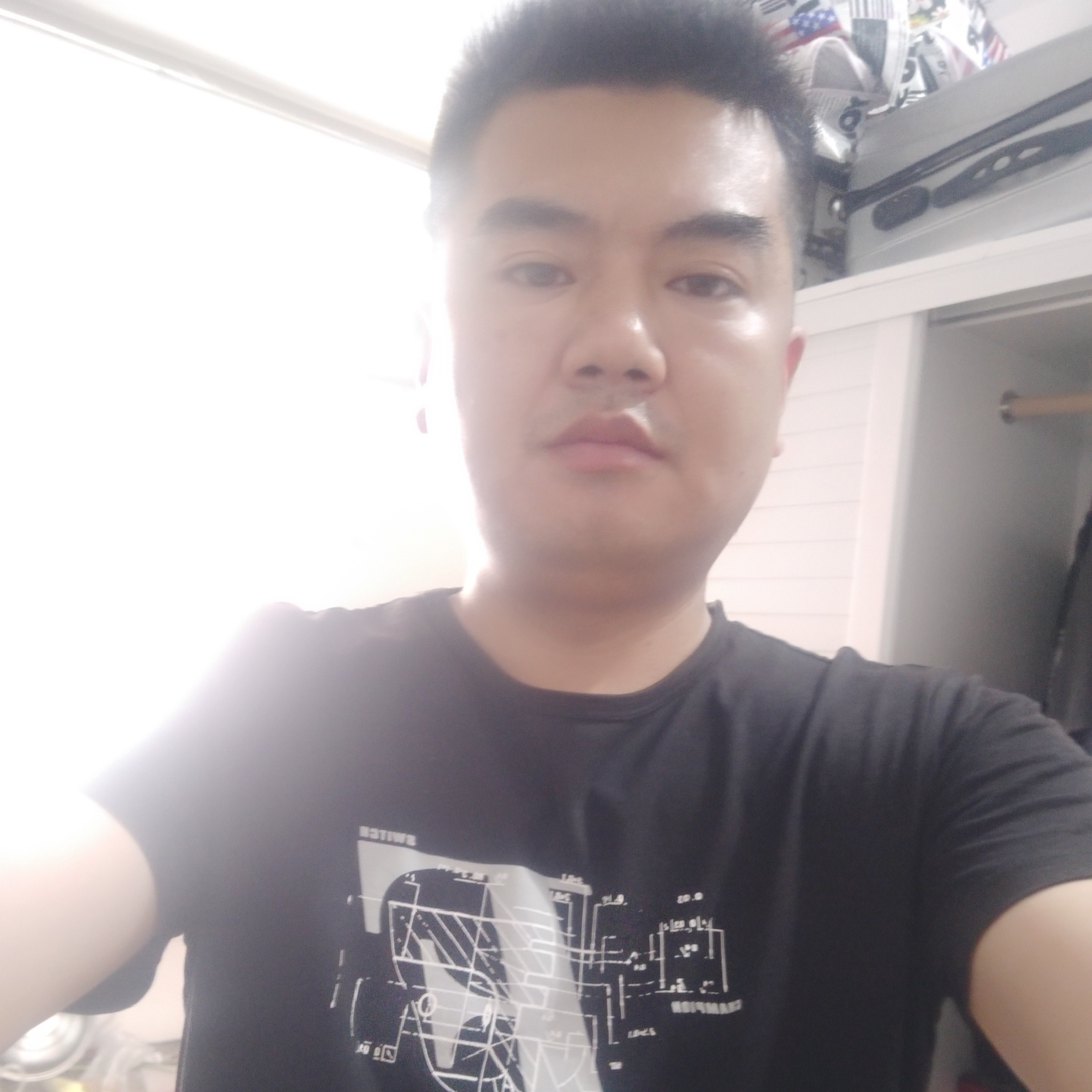 年轻請猫咪的照片