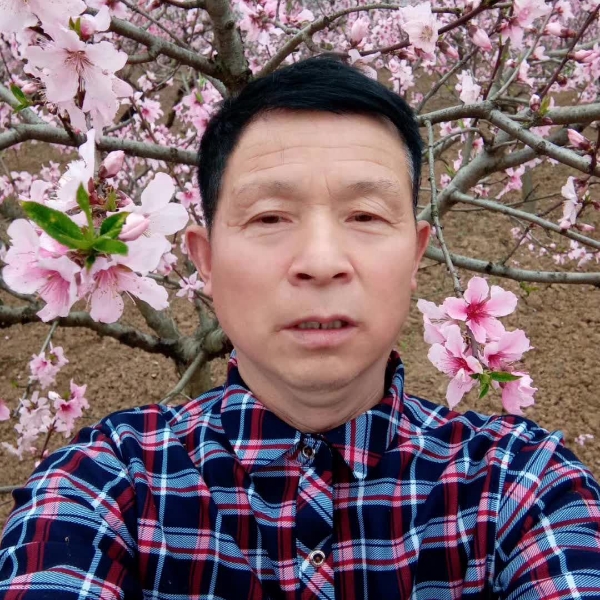 黑猫朴实的照片