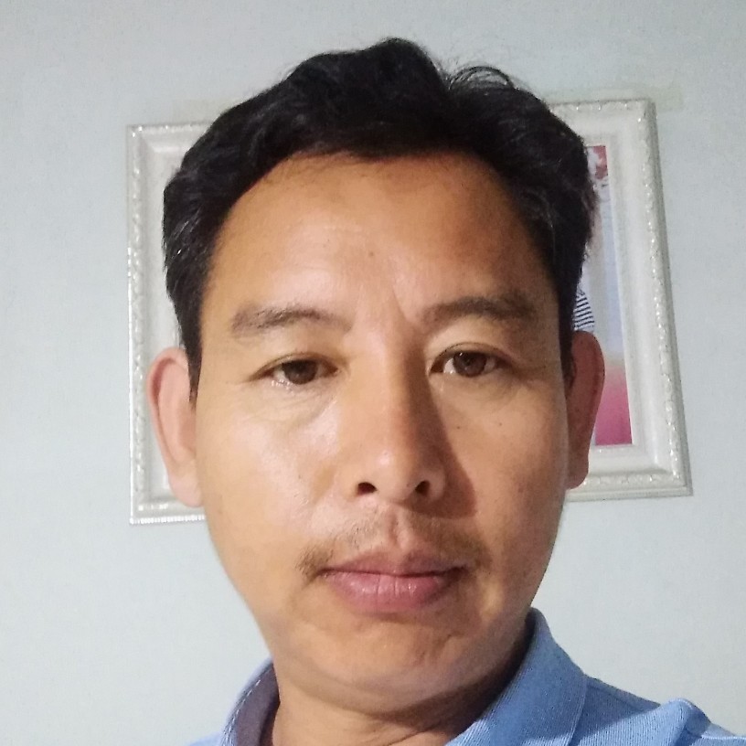 酷炫小海豚的照片