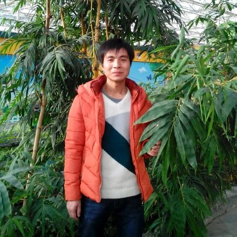 不解的拾忆小蚂蚁的照片