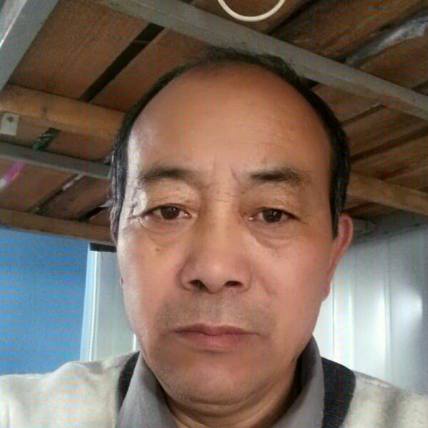 孤独的我想找个伴的照片