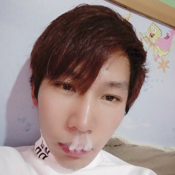仙人掌爱精明的照片
