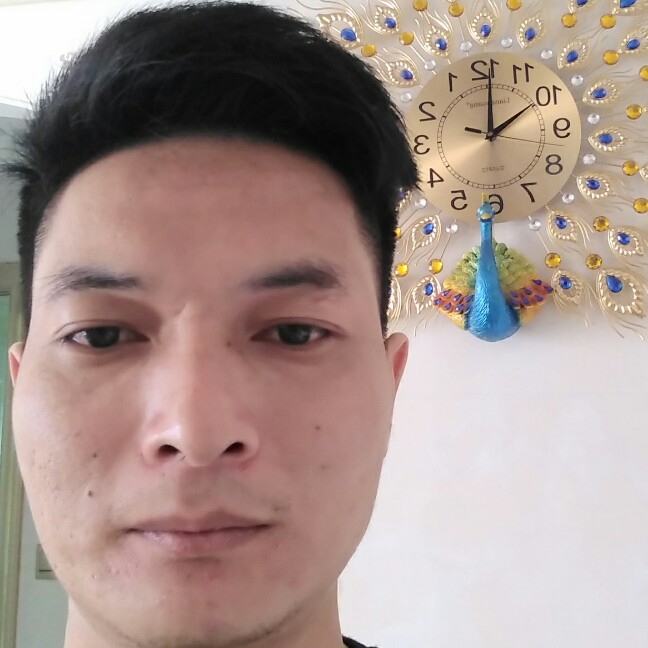 酷尔的照片