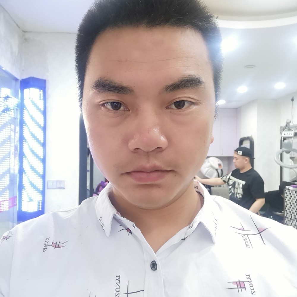 十月的森林的照片