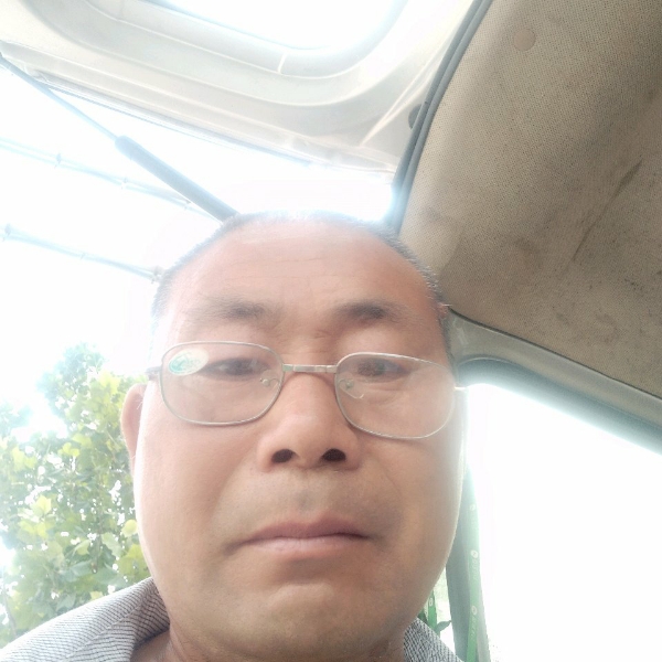 卖水果的照片