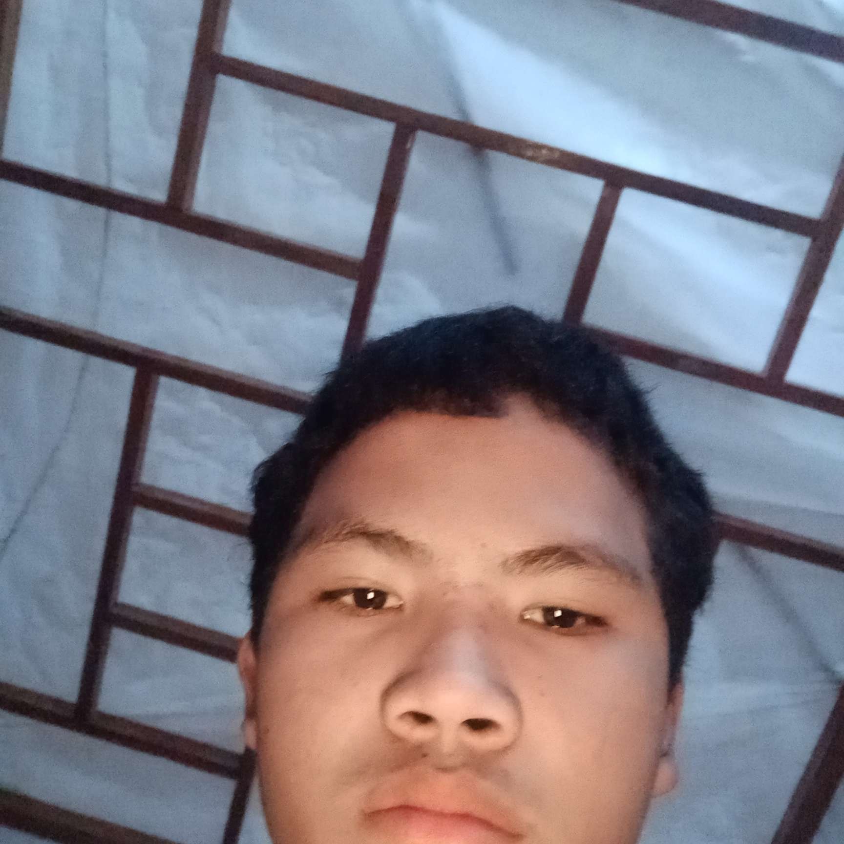 招牌拿華麗的照片