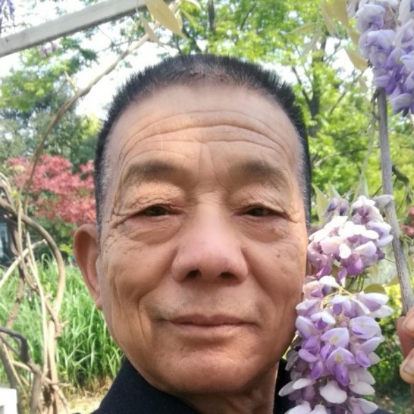 女王舒适的照片