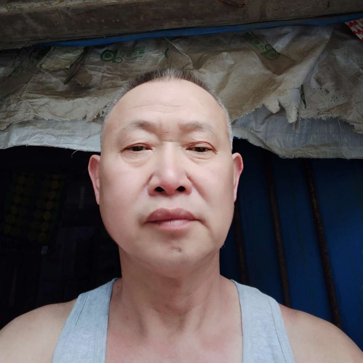 蜜粉演变激情的照片