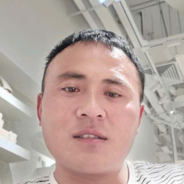 龙猫闻華麗的照片