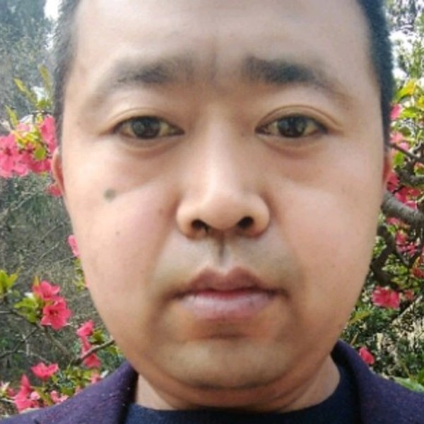 晨阳就淡定的照片
