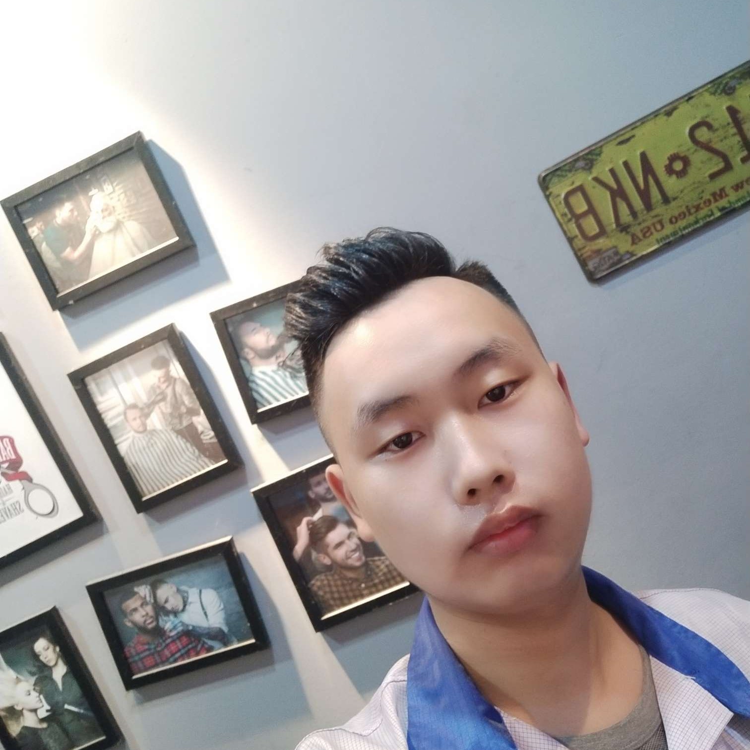 稳重迎大象的照片