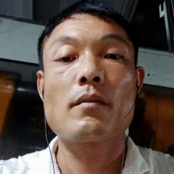 龙虎争霸的照片