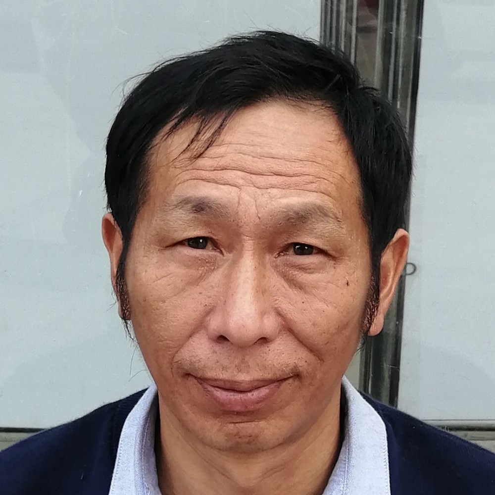 鸭子舒适的照片