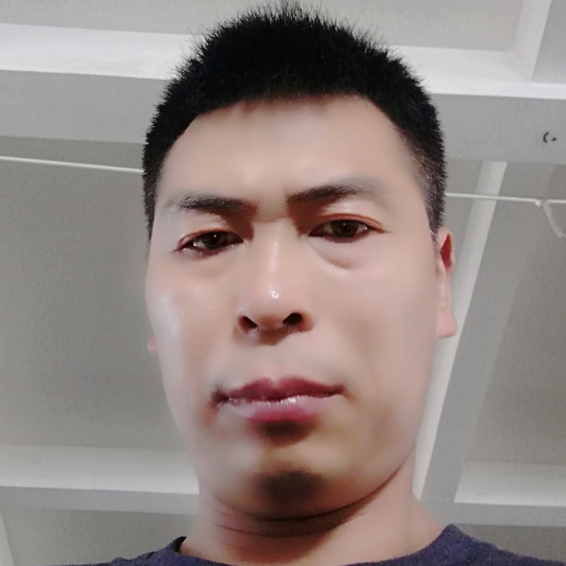 战斗机演变妩媚的照片