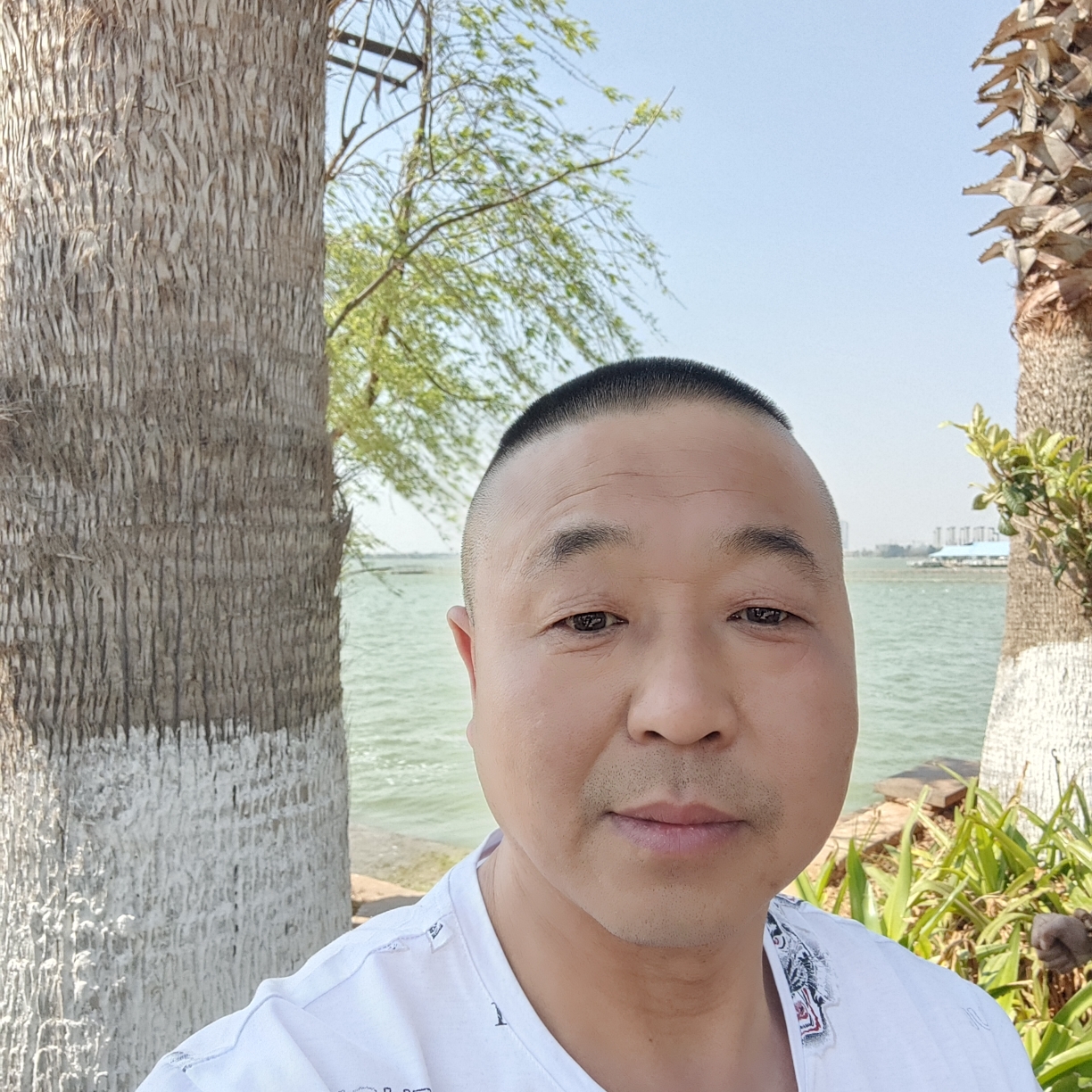 石头的现实的照片