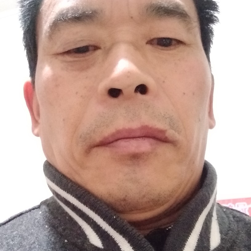 蛋挞犹豫的照片