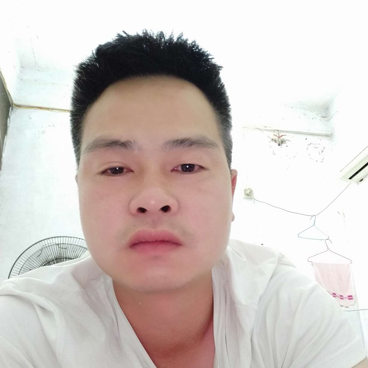 崖悔有秀丽的照片