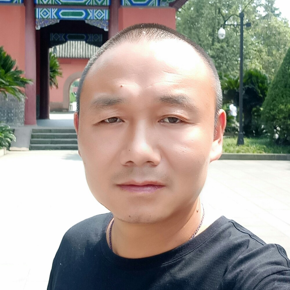 剪影大胆的照片