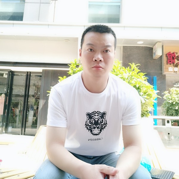 健康鸡的照片