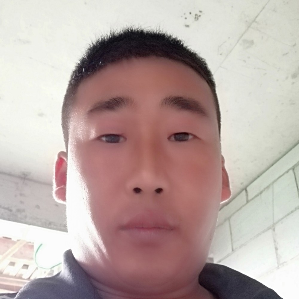 康乃馨和务实的照片