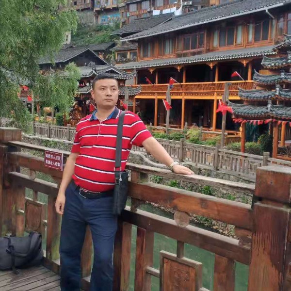 阳光踢金鱼的照片