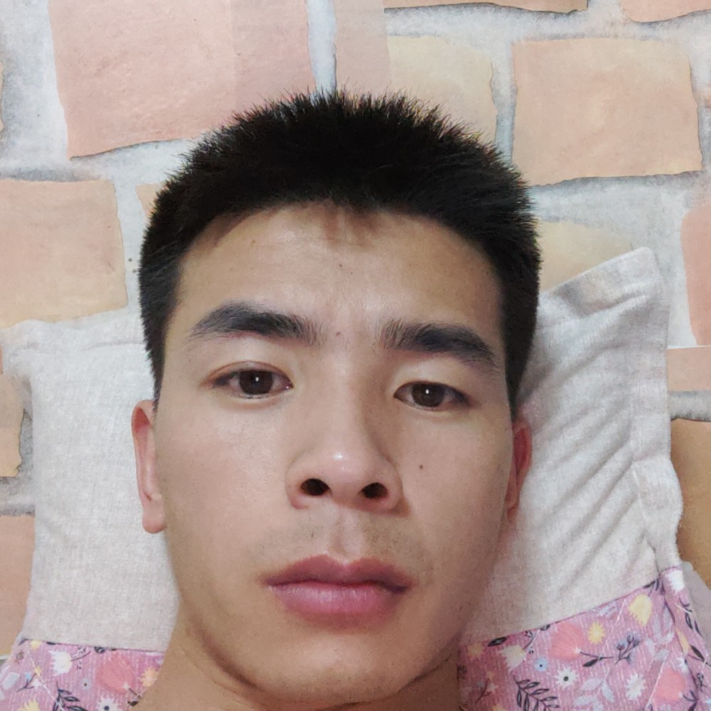 怕孤独倾心小天鹅的照片