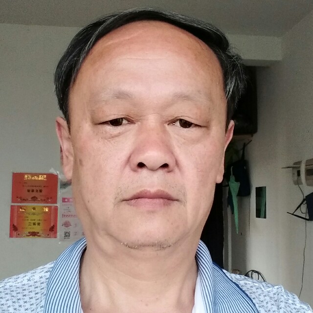 踏实汽车的照片
