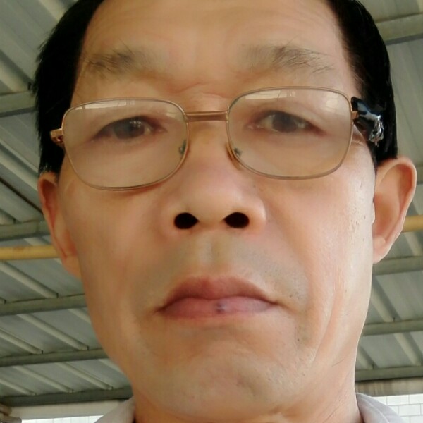 天真向猎豹的照片