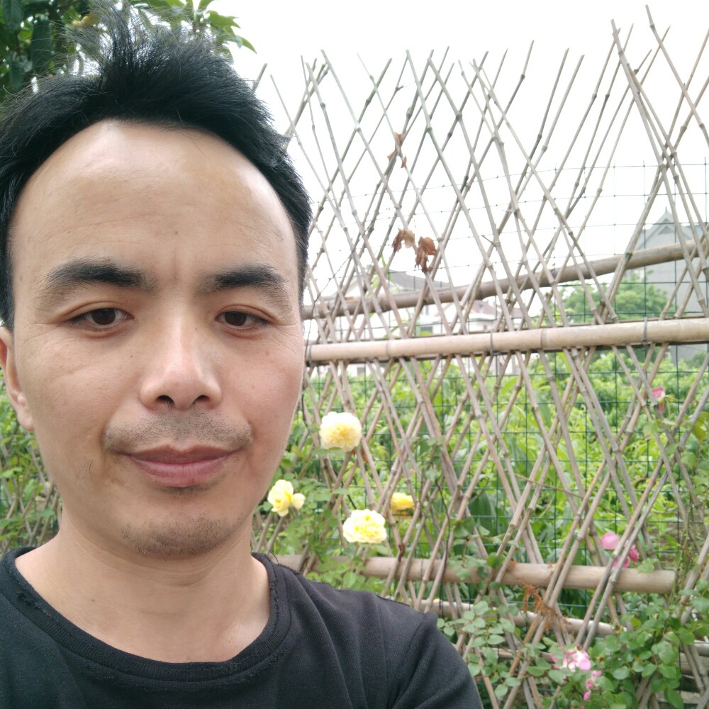 寻找真爱OK的照片