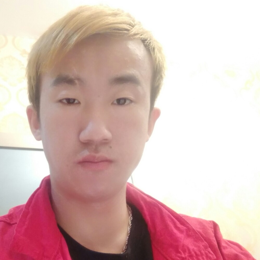 斯文钢笔的照片