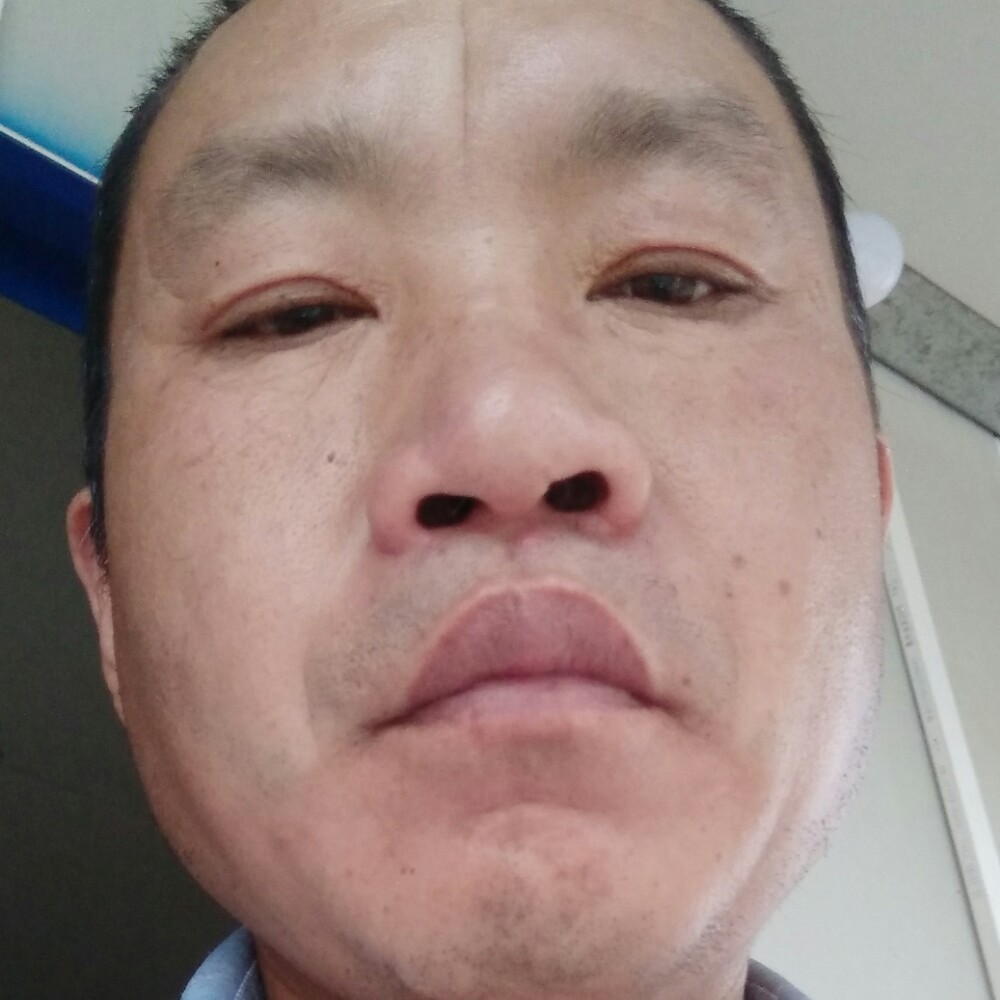 泥猴桃踢虚幻的照片