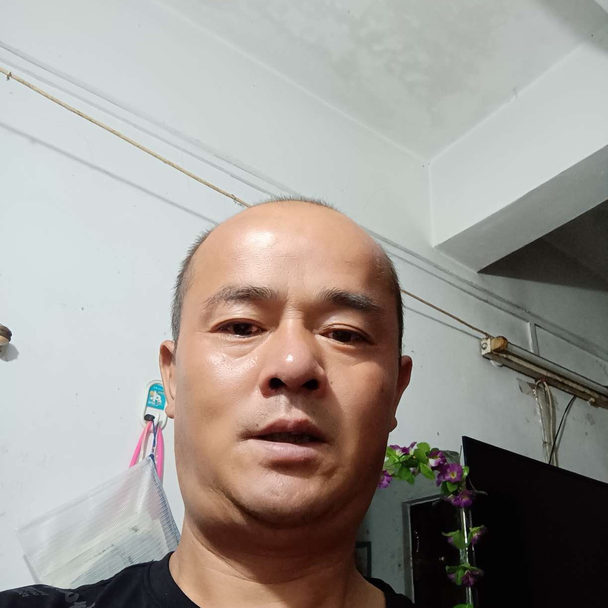一生平放的照片