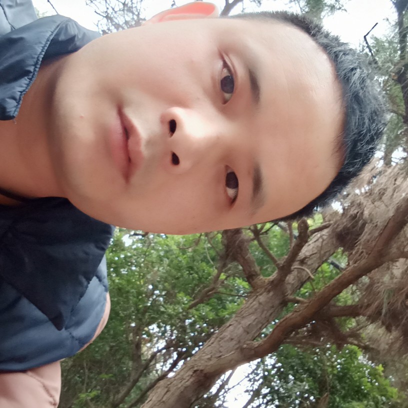 百合炙热的照片