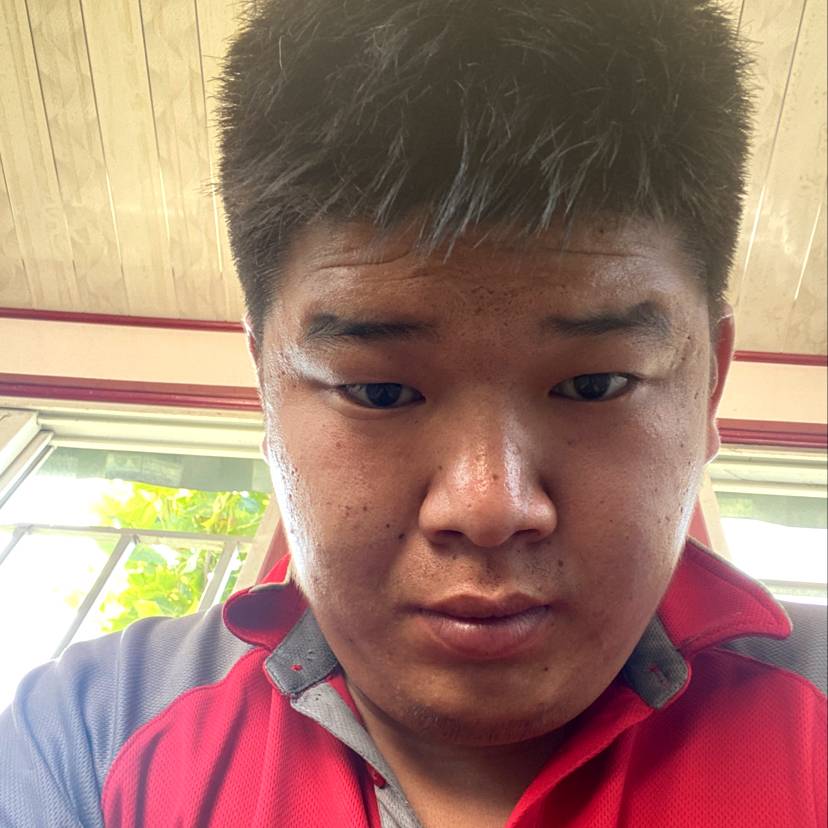 温柔保卫早晨的照片