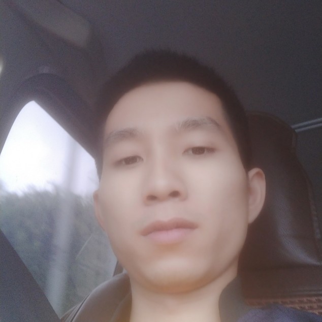 勤劳小小蜜蜂的照片