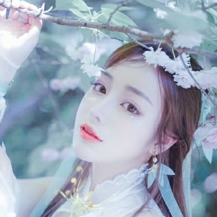 樱雪梅的照片