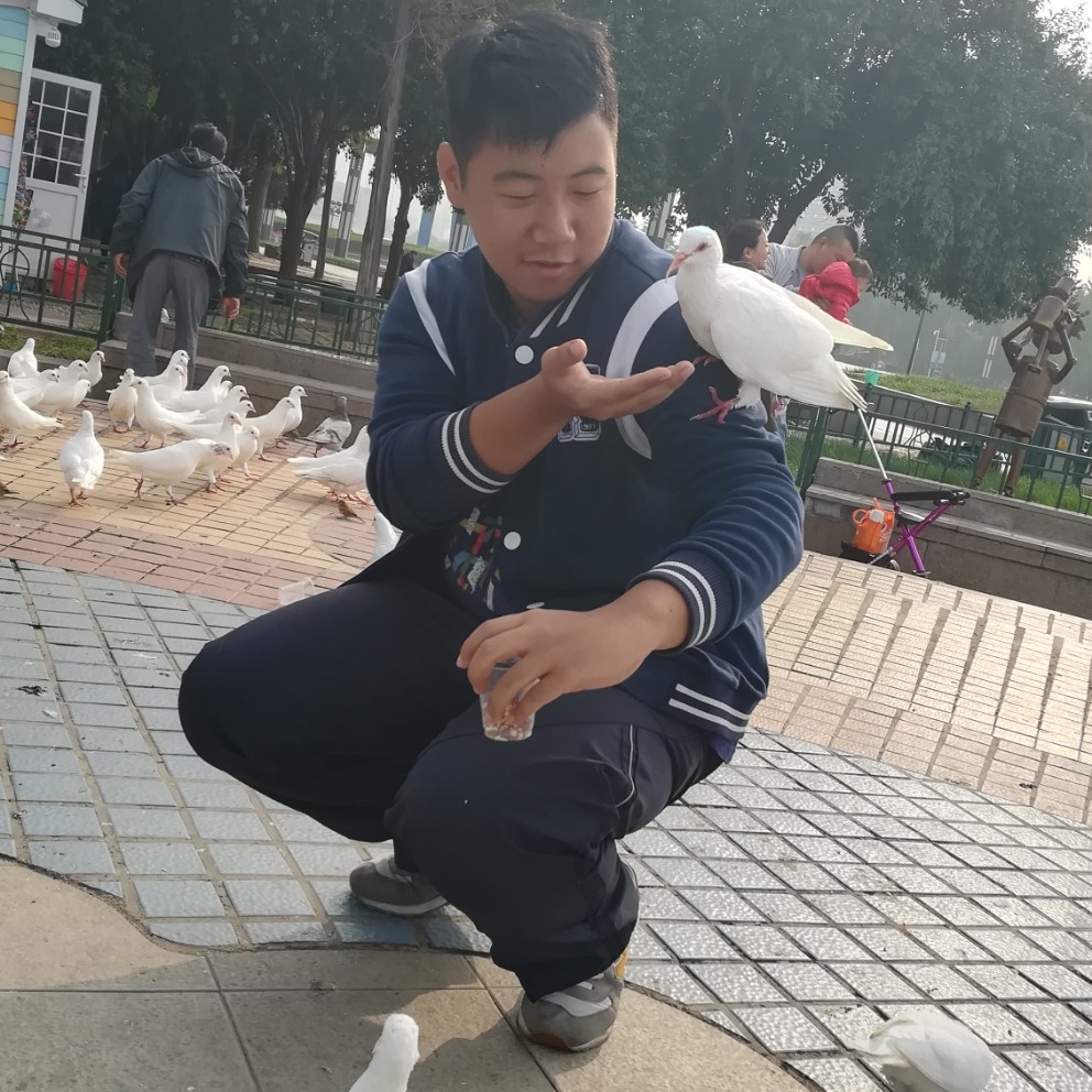 随机名字真的骚的照片